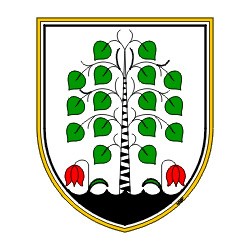 TIC Brezovica