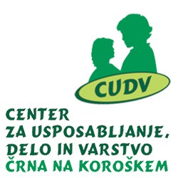 Izdelava izdelkov iz lesa v delovni enoti VDC Ravne