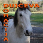 Dujčeva Domačija