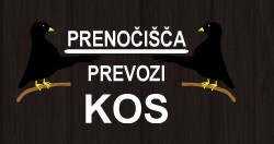 Prenočišča Kos