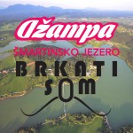 Šmartinsko jezero