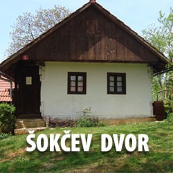 Šokčev dvor