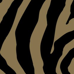 Kavarna Zebra Patisseries