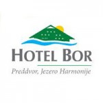 Hotel Bor