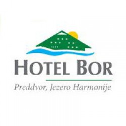 Hotel Bor