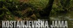 Kostanjeviška jama