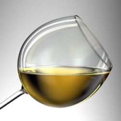 Vinoteka 1001 Vino
