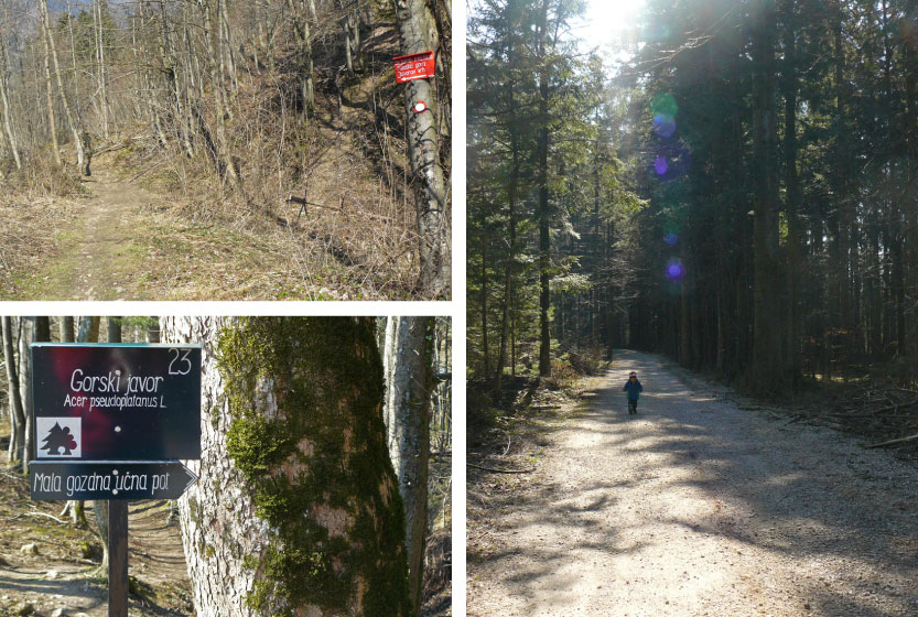 2015_03_13_slika-4-5-6.jpg