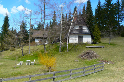 2015_04_17_slika-6_410.jpg