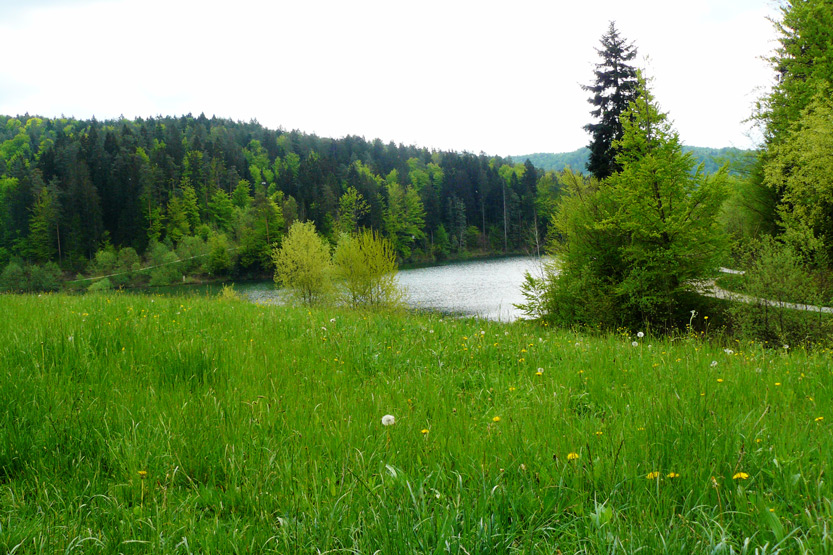 2015_05_08_slika-1.jpg