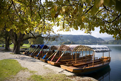 2015_06_12_slika-6-bled.si_410.jpg