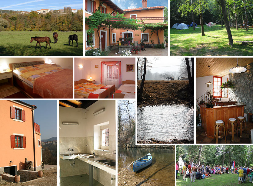 DujcevaDomacija_slika-01.jpg