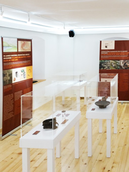 GM_TomazGodec_razstava.jpg