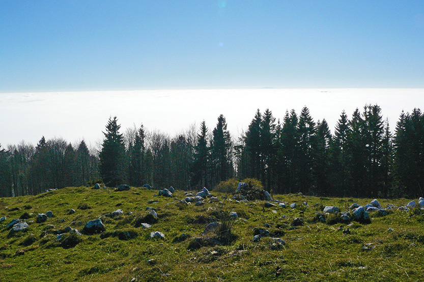 Menina_slika-2_833.jpg