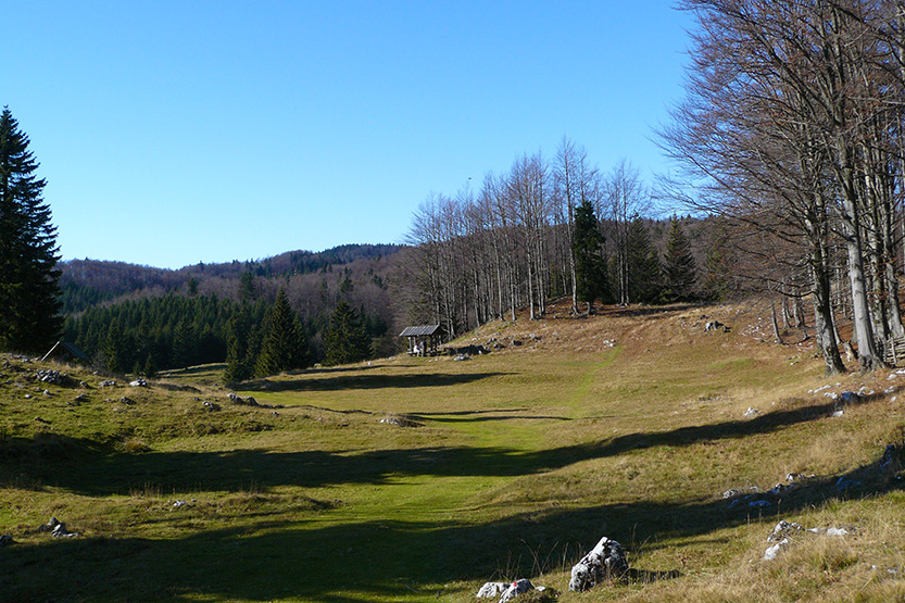 Menina_slika-3_833.jpg