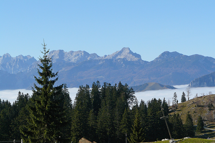 Menina_slika-4_833.jpg