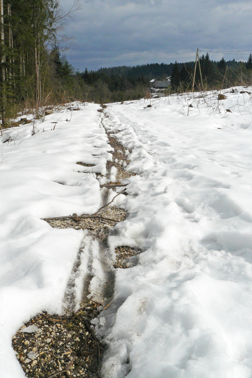 Poihajkovanje_2015_02_27_slika-3.jpg