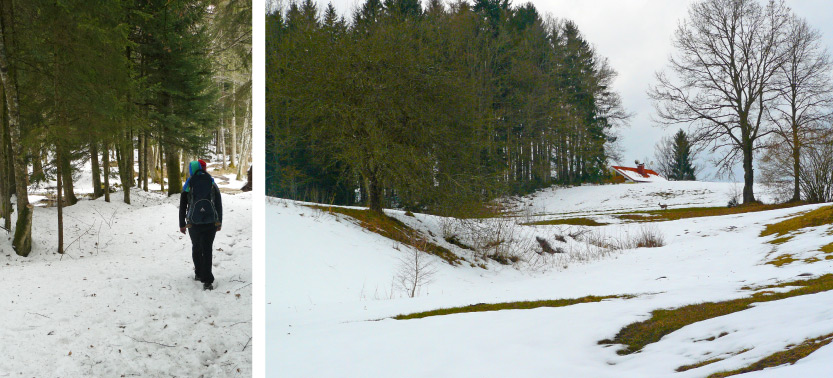 Poihajkovanje_2015_02_27_slika-4-5.jpg