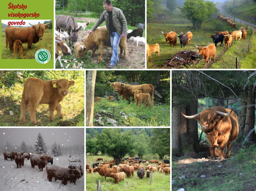 RanchHornberg_slika2.jpg