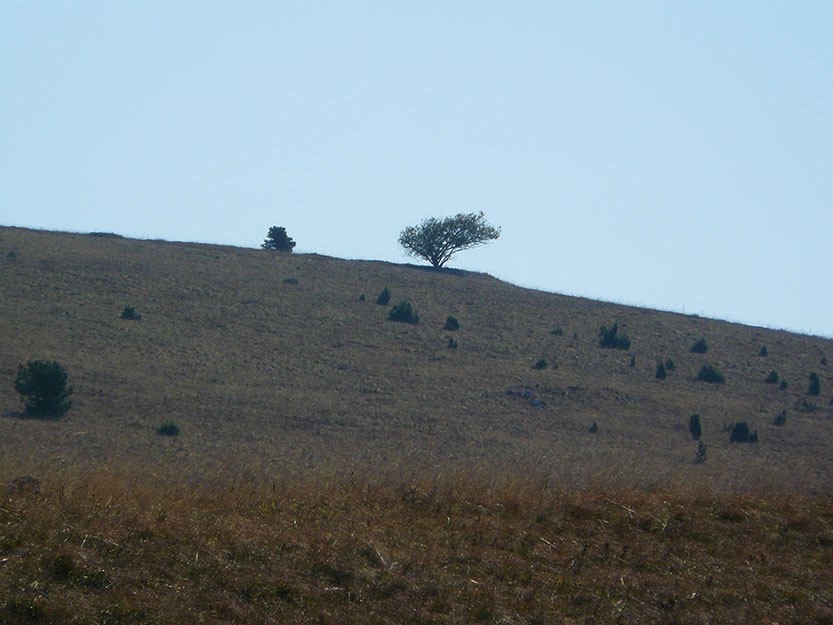 Skocjan_slika-3_833.jpg