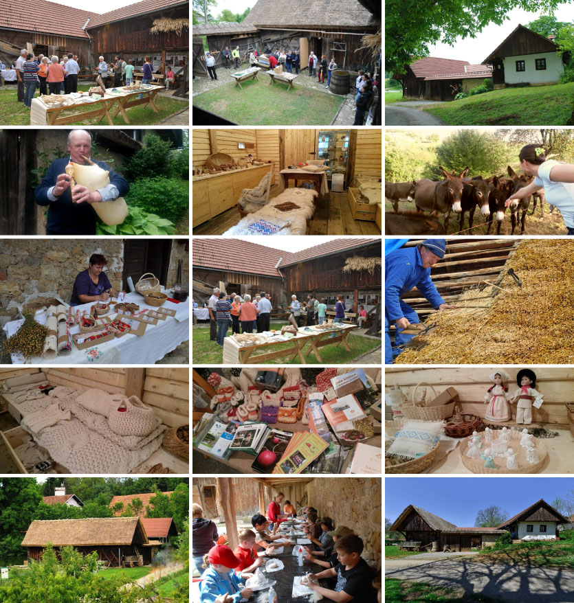 SokcevDvor_foto.jpg