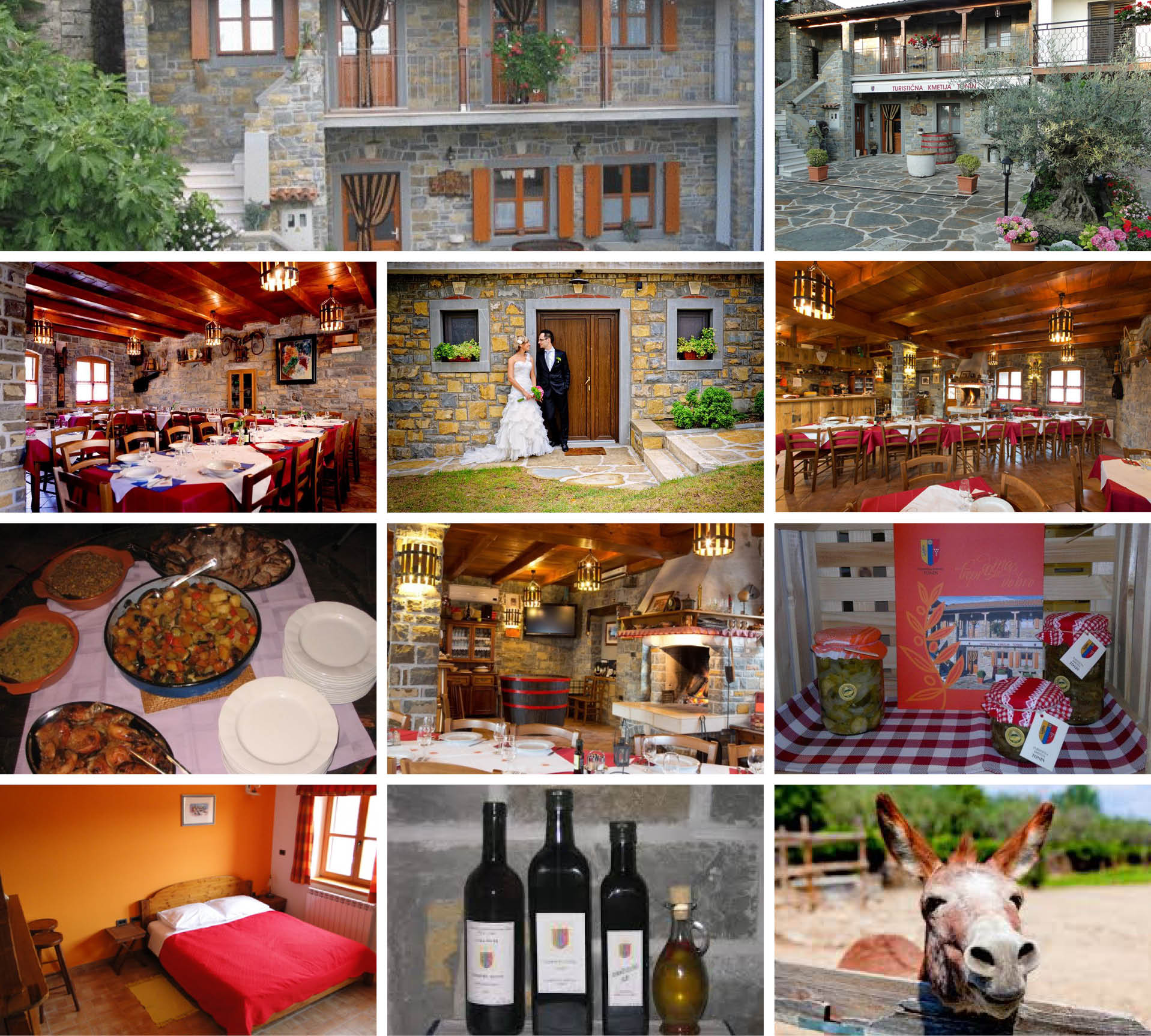 Turisticna kmetija tonin splet
