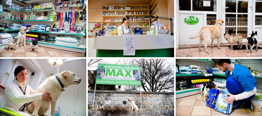 VeterinarstvoMAX slika1