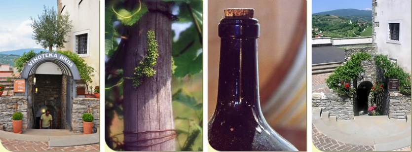 VinotekaBrda slika