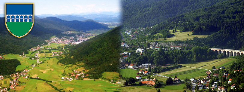 borovnica.jpg