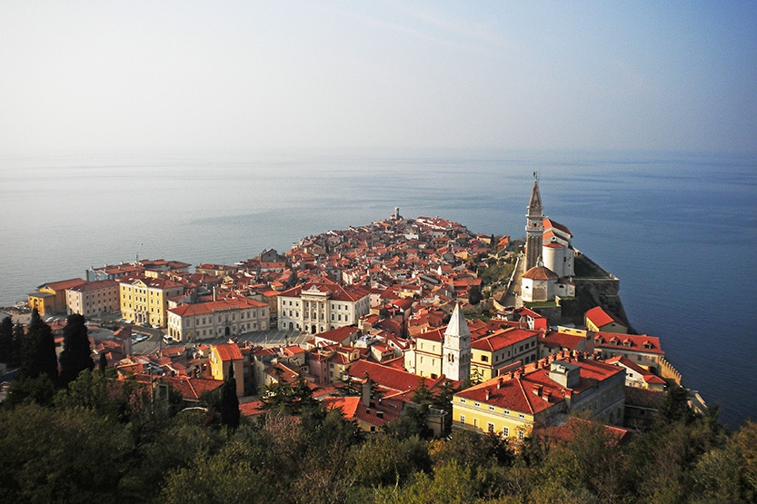 clanek_2015_01_23_slika-1-wikipedia.jpg