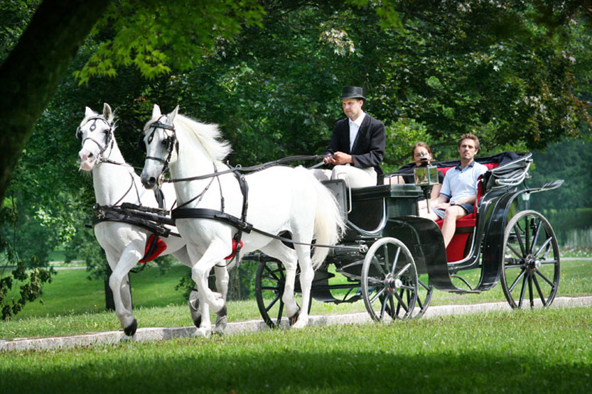clanek_2015_02_06_slika-4-visitljubljana.si.jpg