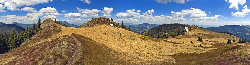 clanek_2015_03_06_slika-2-wikipedia.jpg