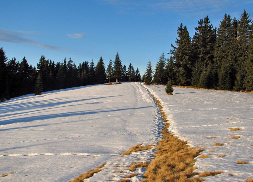 clanek_2015_03_06_slika-5-gore-ljudje.net.jpg