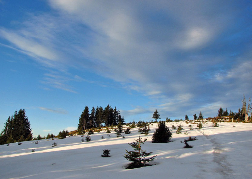 clanek_2015_03_06_slika-6-gore-ljudje.jpg