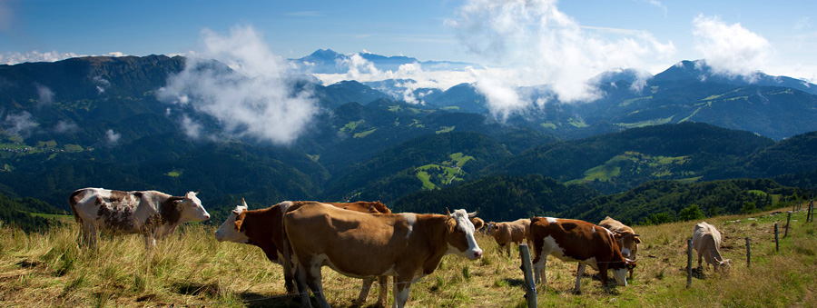 podezelje_countryside.jpg