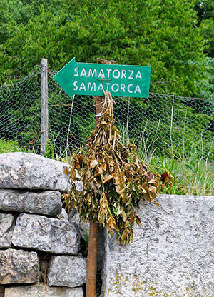 slika-4-wikipedia_300.jpg