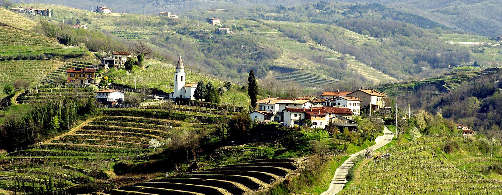 Brda panorama