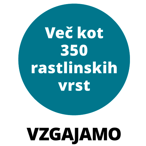 Tropski vrt sliika 2