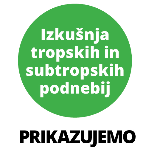 Tropski vrt sliika 4