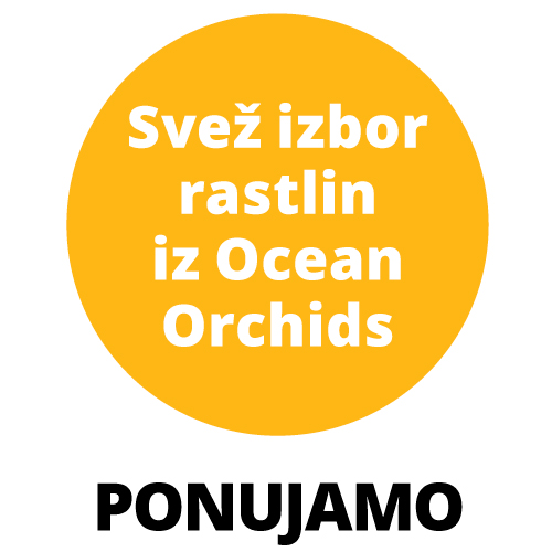 Tropski vrt sliika 6